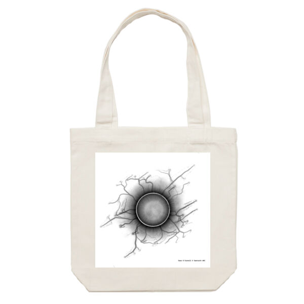 Sean O'Connell x Sawtooth ARI Tote Thumbnail